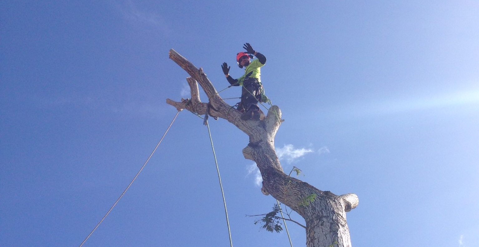 Unsplashed background img 3